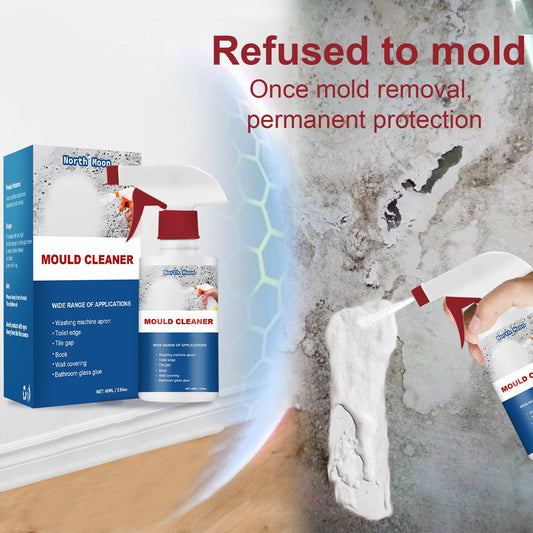 Mold & Mildew Remover Spray