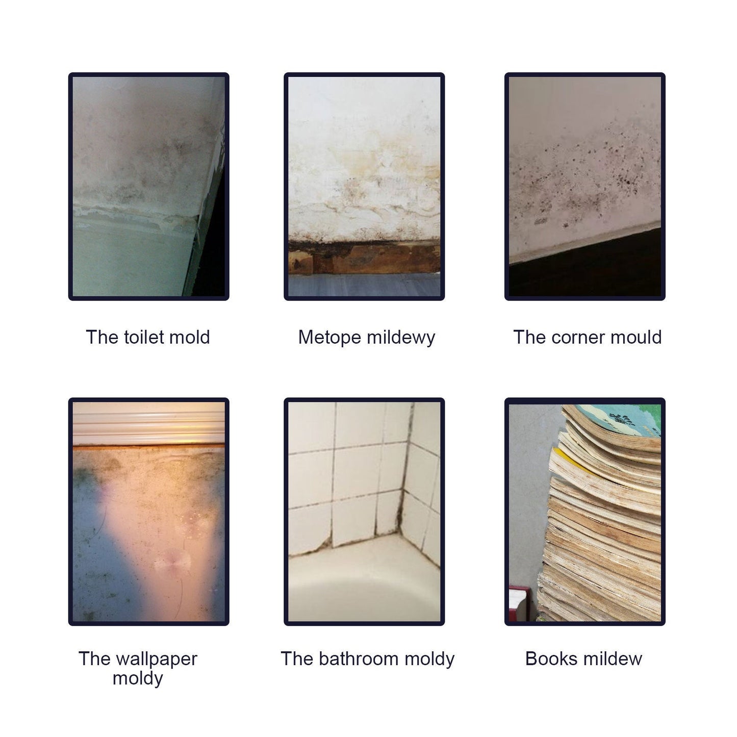 Mold & Mildew Remover Spray